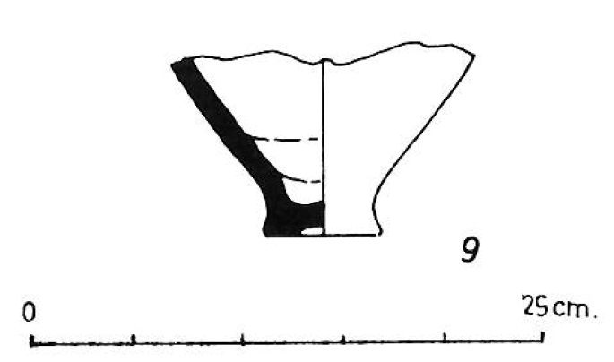 FERNANDEZ IZQUIERDO/RIBERA/GOMEZ 1989