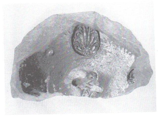 De Hoz García Bellido 2014