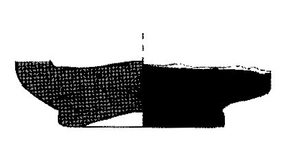 Jiménez Ávila/Ortega 2004