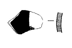 Jiménez Ávila/Ortega 2004