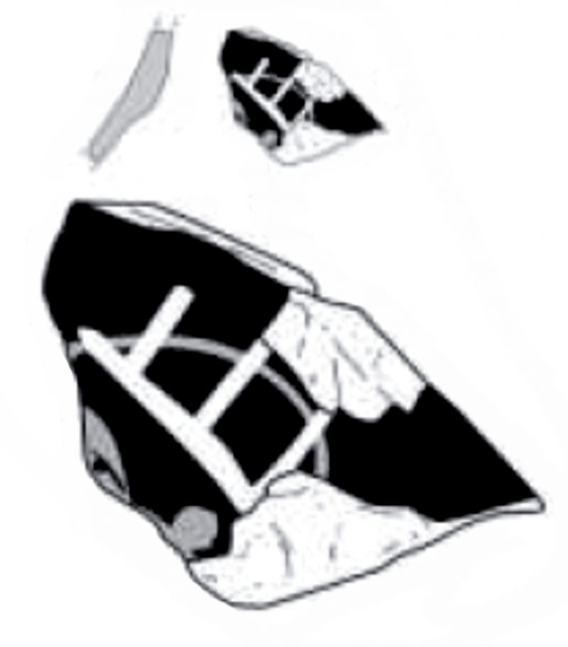 MENENDEZ/SOBREVIA 2023 p.69 lam.2-fig.1