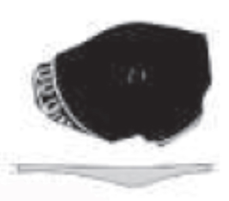 MENENDEZ/SOBREVIA 2023 p.69 lam.2 fig.4