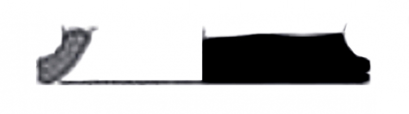 MENENDEZ/SOBREVIA 2023 p.69 lam.2 fig.5