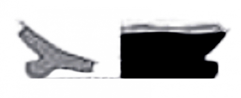 MENENDEZ/SOBREVIA 2023 p.69 lam.2-fig.6