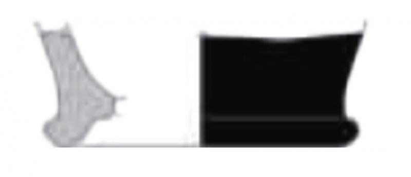 MENENDEZ/SOBREVIA 2023 p.70 lam.3-fig.2