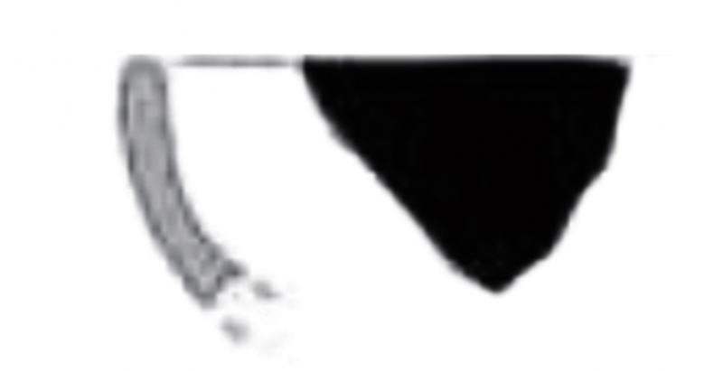 MENENDEZ/SOBREVIA 2023 p.70 lam.3-fig.3