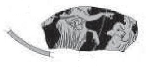 Asensio et alii 2009b