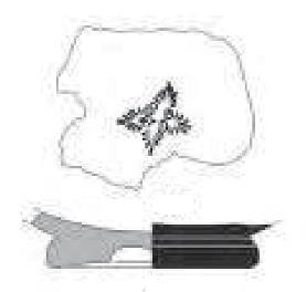 Asensio et alii 2009b