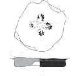 Asensio et alii 2009b