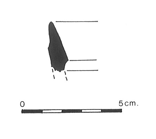 MOLIST 1979. Fig.5-1
