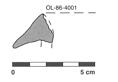 MOLIST et alii 2008. Fig.11.8-2278