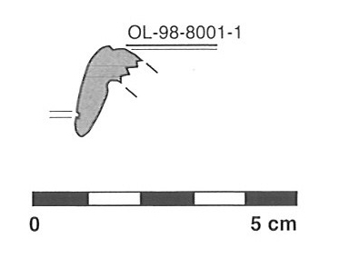 MOLIST et alii 2008. Fig.11.8-324