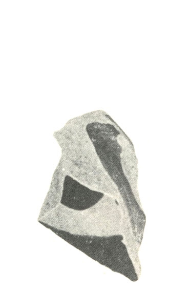 BLÁZQUEZ 1975, lám. XLII, 9