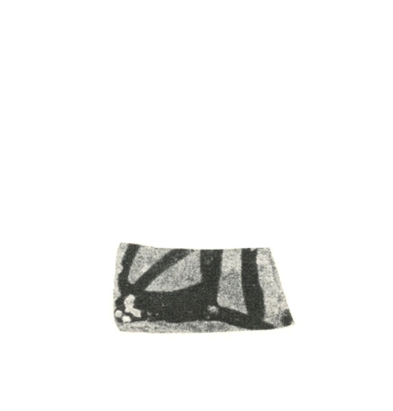 BLÁZQUEZ 1975, lám. V, 8