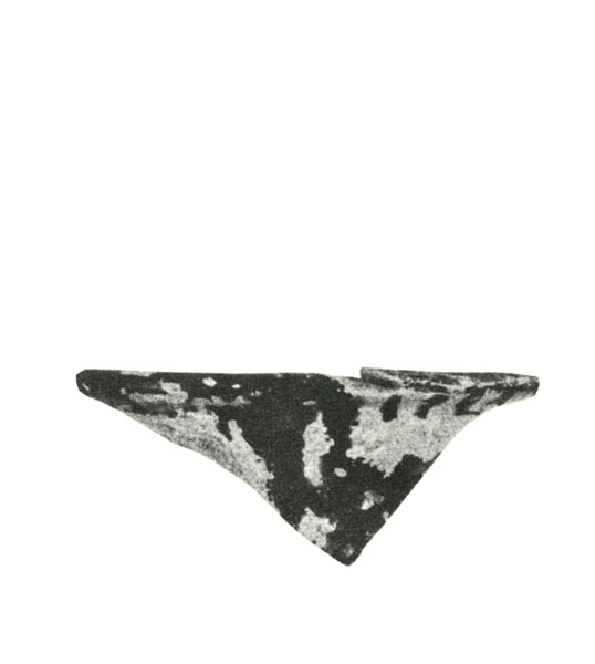 BLÁZQUEZ 1975, lám. V, 5