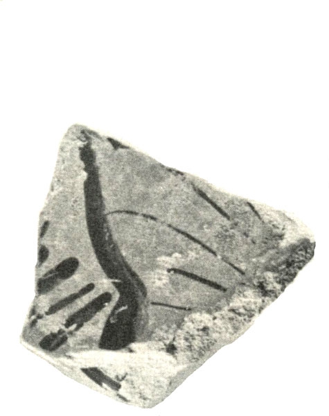 BLÁZQUEZ 1975, lám. IV, 4