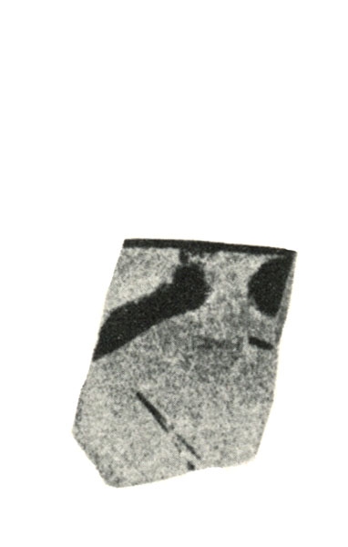 BLÁZQUEZ 1975, lám. V, 12