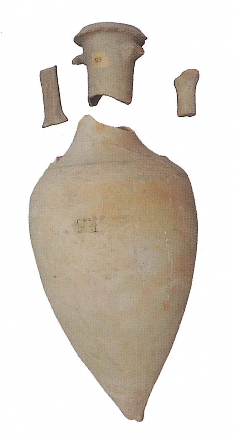 OLCINA 2024 p.730-6955