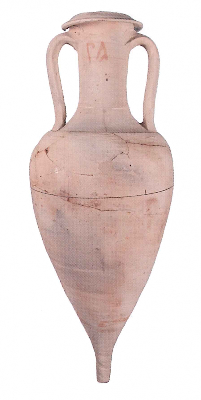 OLCINA 2024 p.730-6951