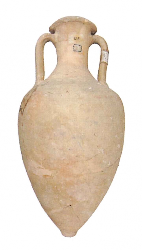 OLCINA 2024 p.732-6957