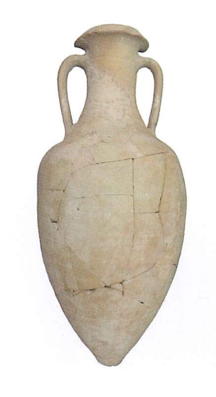 OLCINA 2024 p.733-6894