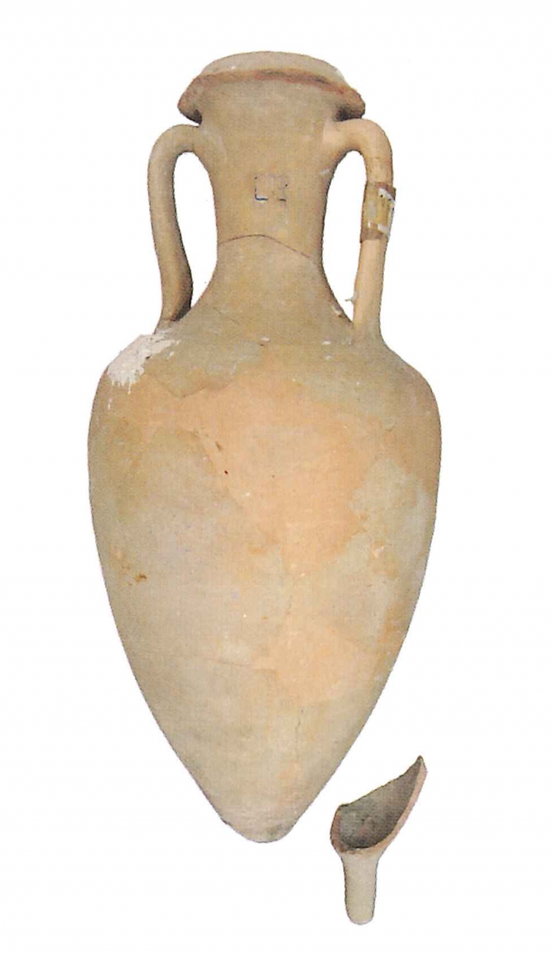 OLCINA 2024 p.733-6956