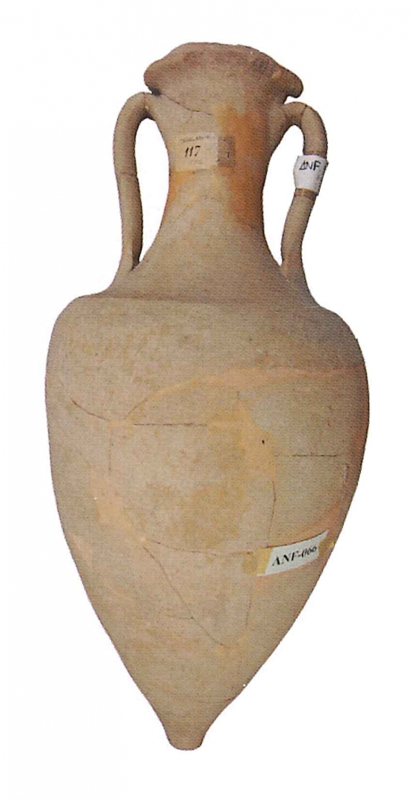 OLCINA 2024 p.734-6954