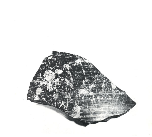 DEL AMO 1976, lám. 5