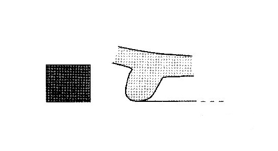 Jiménez Ávila/Ortega 2004