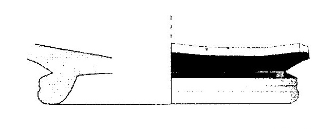 Jiménez Ávila/Ortega 2004