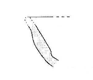 Jiménez Ávila/Ortega 2004