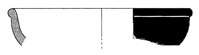 Jiménez Ávila/Ortega 2004