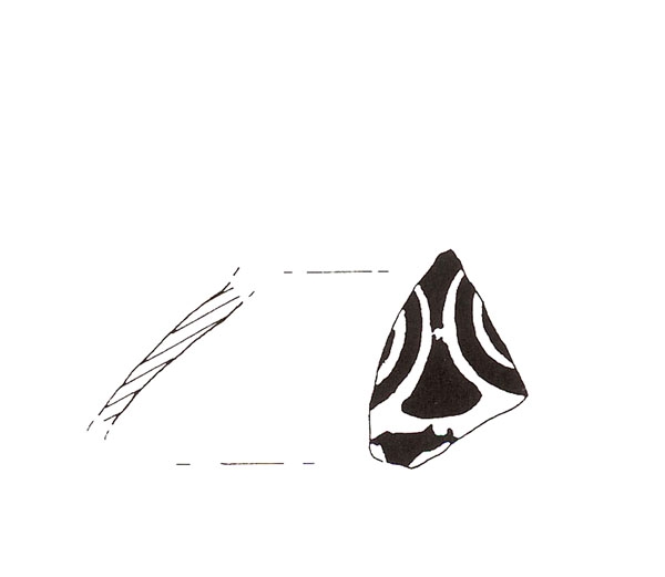 CISNEROS ET ALII. 2000, fig. 12