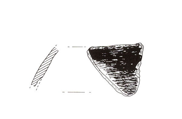 CISNEROS ET ALII. 2000, fig. 12