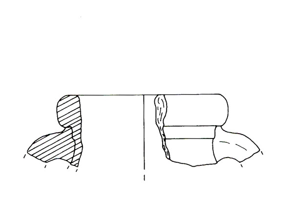 CISNEROS ET ALII. 2000, fig. 9