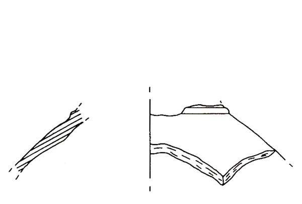 CISNEROS ET ALII. 2000, fig. 10