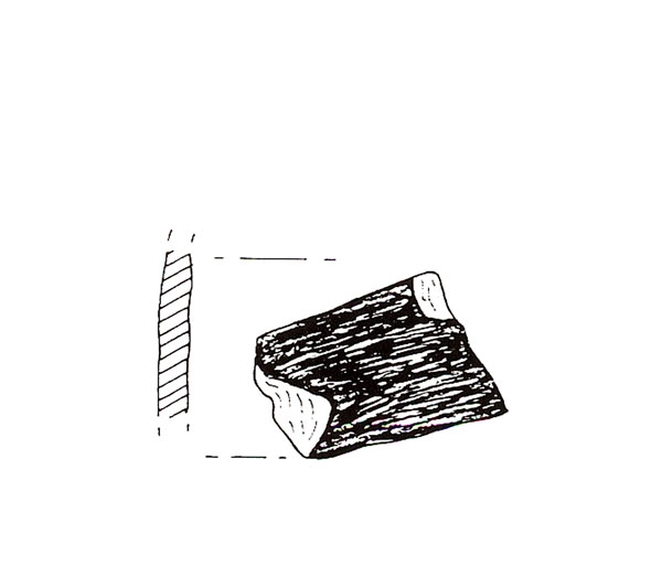 CISNEROS ET ALII. 2000, fig. 12