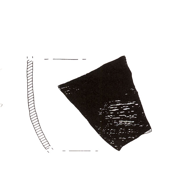 CISNEROS ET ALII. 2000, fig. 12