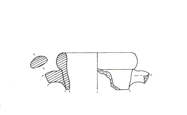 CISNEROS ET ALII. 2000, fig. 9