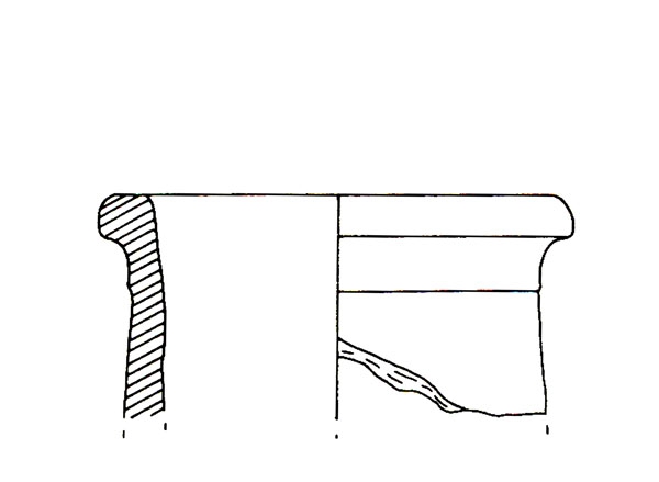 CISNEROS ET ALII. 2000, fig. 10