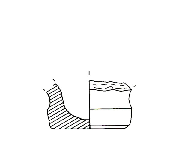 CISNEROS ET ALII. 2000, fig. 11