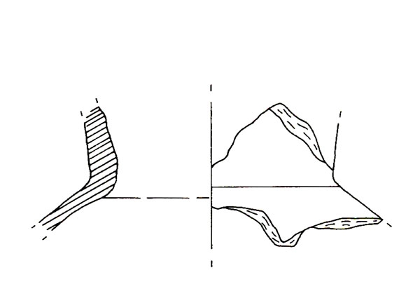 CISNEROS ET ALII. 2000, fig. 10