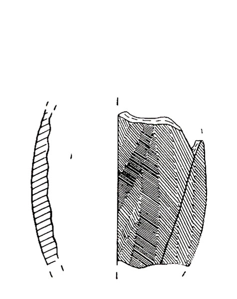 CISNEROS ET ALII. 2000, fig. 7