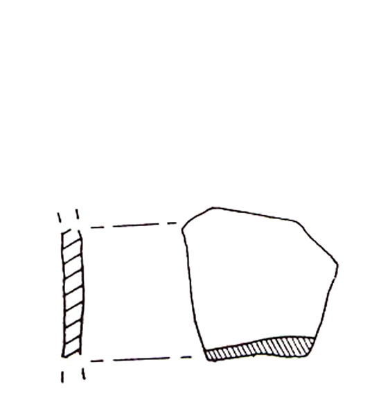 CISNEROS ET ALII. 2000, fig. 8