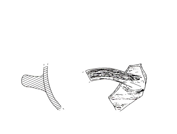 CISNEROS ET ALII. 2000, fig. 7