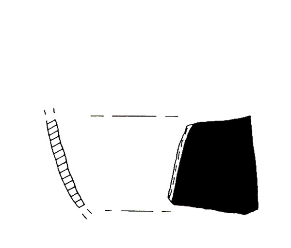 CISNEROS ET ALII. 2000, fig. 7