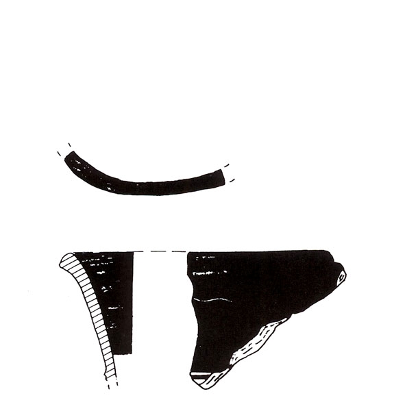 CISNEROS ET ALII. 2000, fig. 8