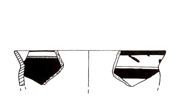 CISNEROS ET ALII. 2000, fig. 4