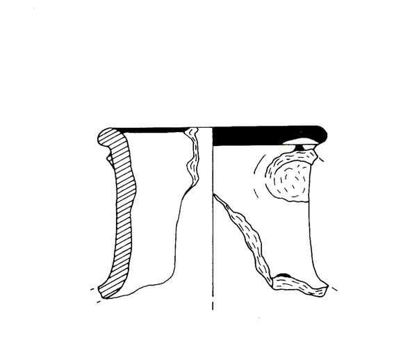 CISNEROS ET ALII. 2000, fig. 9