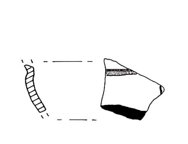 CISNEROS ET ALII. 2000, fig. 4